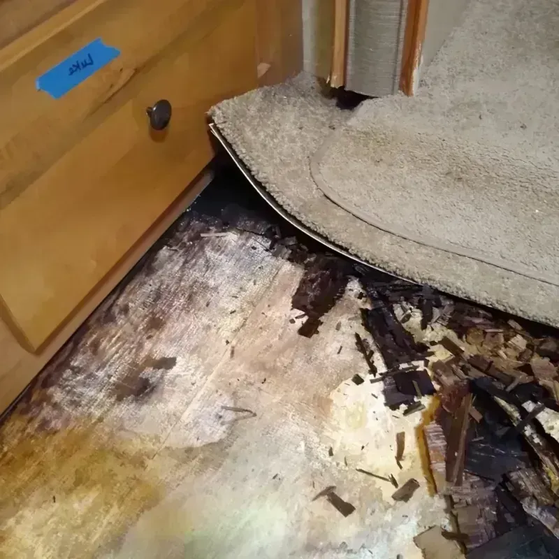 Best Wood Floor Water Damage Service in Hillcrest, NY